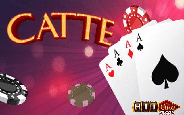 Thuật ngữ cần nhớ trong bài Catte Hitclub